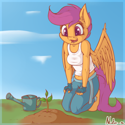 Size: 1200x1200 | Tagged: safe, artist:neko-me, character:scootaloo, species:anthro, species:pegasus, species:pony, apple bloomers, breasts, busty scootaloo, clothing, cute, cutealoo, ear fluff, female, filly, fingerless gloves, gloves, midriff, older, pants, plant, smiling, solo, tank top, watering can, wing fluff