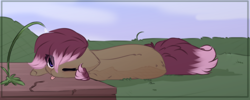 Size: 1676x672 | Tagged: safe, artist:little-sketches, oc, oc:evie, species:pony, blep, eye clipping through hair, grass, lying down, one eye closed, silly, sleepy, tongue out