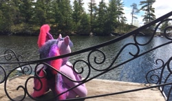 Size: 3264x1926 | Tagged: safe, artist:ejlightning007arts, character:tempest shadow, character:twilight sparkle, character:twilight sparkle (alicorn), species:alicorn, species:pony, ship:tempestlight, build-a-bear, chair, cute, female, island, lake, lesbian, merchandise, photography, plushie, shipping, tempestbetes, tree, twiabetes