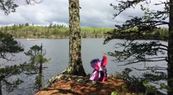 Size: 3264x1805 | Tagged: safe, artist:ejlightning007arts, character:tempest shadow, character:twilight sparkle, character:twilight sparkle (alicorn), species:alicorn, species:pony, ship:tempestlight, build-a-bear, cliff, cloud, cloudy, female, island, lake, lesbian, photography, plushie, shipping, tree, water, wing blanket