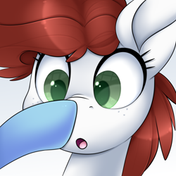 Size: 3000x3000 | Tagged: safe, artist:scarlet-spectrum, oc, oc only, oc:aurora breeze, oc:graph travel, species:pegasus, species:pony, :o, boop, female, freckles, mare, open mouth, simple background, surprised