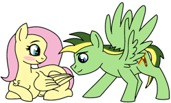 Size: 1000x600 | Tagged: safe, artist:didgereethebrony, base used, character:fluttershy, oc, oc:didgeree, species:pegasus, species:pony, blushing, canon x oc, chest fluff, female, male, mare, pregnant, shipping, simple background, stallion, straight, transparent background