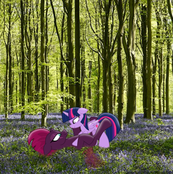 Size: 3331x3351 | Tagged: safe, artist:ejlightning007arts, character:tempest shadow, character:twilight sparkle, character:twilight sparkle (alicorn), species:alicorn, species:pony, ship:tempestlight, beautiful, broken horn, eye scar, female, floppy ears, flower, forest, horn, lesbian, looking at each other, lying down, photoshop, pinned, scar, shipping, tree, wood