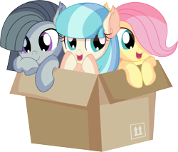 Size: 7869x6727 | Tagged: safe, artist:cyanlightning, character:coco pommel, character:fluttershy, character:marble pie, species:earth pony, species:pegasus, species:pony, .svg available, absurd resolution, blushing, box, chest fluff, cocobetes, cute, dawwww, ear fluff, female, filly, marblebetes, open mouth, pony in a box, shyabetes, simple background, sitting, the council of shy ponies, transparent background, trio, trio female, vector, weapons-grade cute, younger