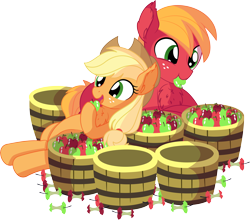 Size: 7884x6929 | Tagged: safe, artist:cyanlightning, character:applejack, character:big mcintosh, species:earth pony, species:pony, .svg available, absurd resolution, apple, applejack's hat, brother and sister, bucket, clothing, cowboy hat, cute, duo, ear fluff, eating, female, food, hat, herbivore, jackabetes, macabetes, male, mare, missing accessory, open mouth, siblings, simple background, smiling, stallion, transparent background, vector