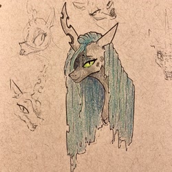 Size: 2048x2048 | Tagged: safe, artist:greyscaleart, character:queen chrysalis, species:changeling, bust, changeling queen, female, sketch, solo, traditional art