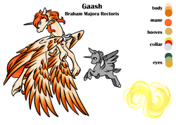 Size: 1024x724 | Tagged: safe, artist:oneiria-fylakas, oc, oc only, oc:gaash, species:pony, braham, female, four wings, multiple wings, original species, reference sheet, simple background, solo, transparent background, unshorn fetlocks, wings
