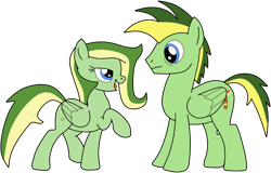 Size: 1118x715 | Tagged: safe, artist:didgereethebrony, oc, oc:boomerang beauty, oc:didgeree, species:pegasus, species:pony, bedroom eyes, boomeree, brother and sister, cutie mark, female, male, mare, remake, siblings, simple background, stallion, transparent background