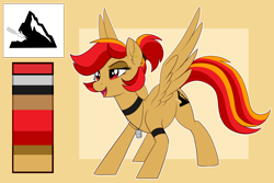 Size: 3000x2000 | Tagged: safe, artist:xwhitedreamsx, oc, species:pegasus, species:pony, female, mare, reference sheet, solo