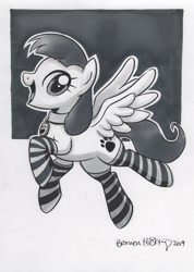 Size: 1746x2450 | Tagged: safe, artist:brendahickey, oc, oc only, oc:snow pup, species:pegasus, species:pony, clothing, collar, female, grayscale, mare, monochrome, open mouth, simple background, sketch, socks, solo, spread wings, striped socks, traditional art, wings