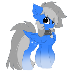 Size: 883x905 | Tagged: safe, artist:little-sketches, oc, oc only, oc:betting snow, species:pegasus, species:pony, 2020 community collab, derpibooru community collaboration, blue coat, chest fluff, collar, gradient hooves, male, simple background, solo, transparent background, two toned mane