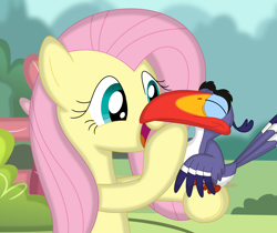Size: 3486x2933 | Tagged: safe, artist:porygon2z, character:fluttershy, species:bird, species:pegasus, species:pony, bust, chin scratch, crossover, cute, disney, duo, female, holding, hornbill, looking at something, mare, open mouth, outdoors, petting, shyabetes, sitting, smiling, the lion king, wings, zazu