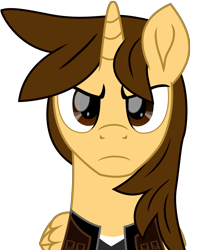 Size: 5897x7174 | Tagged: safe, artist:ejlightning007arts, oc, oc only, oc:ej, species:alicorn, species:pony, absurd resolution, alicorn oc, clothing, looking at you, male, serious, serious face, simple background, solo, stallion, transparent background, vector