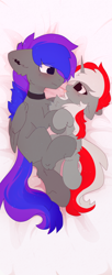 Size: 1608x3928 | Tagged: safe, artist:little-sketches, oc, oc only, species:pegasus, species:pony, species:unicorn, body pillow, body pillow design, female, male, mare, stallion