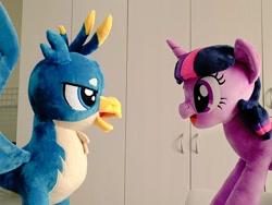 Size: 1024x768 | Tagged: safe, artist:nekokevin, character:gallus, character:twilight sparkle, character:twilight sparkle (unicorn), species:griffon, species:pony, species:unicorn, cute, duo, female, irl, looking at each other, male, mare, open mouth, photo, plushie, smiling, spread wings, teenager, twiabetes, wings