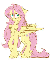 Size: 1776x2100 | Tagged: safe, artist:chub-wub, character:fluttershy, species:pegasus, species:pony, ahoge, blushing, chest fluff, cute, feathered fetlocks, female, floppy ears, folded wings, hair antenna, leg fluff, mare, neck fluff, open mouth, shyabetes, simple background, solo, standing, stray strand, three quarter view, white background, wings