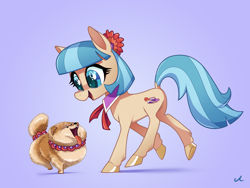 Size: 4183x3150 | Tagged: safe, artist:docwario, character:coco pommel, species:dog, species:earth pony, species:pony, cocobetes, colored hooves, cute, female, happy, leg fluff, mare, open mouth, pom pom, shiba inu, shibe, simple background, tongue out, violet background, weapons-grade cute
