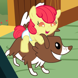 Size: 1080x1080 | Tagged: safe, artist:beavernator, character:apple bloom, character:winona, species:pony, baby, baby pony, diaper, foal, puppy, riding