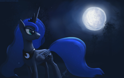 Size: 1425x908 | Tagged: safe, artist:grissaecrim, character:princess luna, species:alicorn, species:pony, g4, female, looking back, mare, moon, night, smiling, solo
