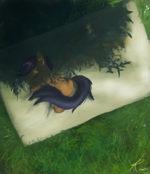Size: 1067x1242 | Tagged: dead source, safe, artist:grissaecrim, character:scootaloo, species:pegasus, species:pony, adobe imageready, bird's eye view, female, filly, grass, photoshop, sleeping, solo, wings
