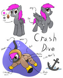 Size: 1024x1255 | Tagged: safe, artist:the-furry-railfan, oc, oc only, oc:crash dive, species:pegasus, species:pony, bubble, diving suit, helmet, note, reference sheet, solo, underwater