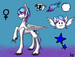 Size: 1600x1200 | Tagged: safe, artist:stirren, oc, oc only, species:pegasus, species:pony, female, mare, present, reference sheet, solo
