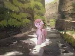 Size: 2268x1700 | Tagged: safe, artist:fuzzyfox11, character:berry punch, character:berryshine, canyon, female, floppy ears, grass, rain, river, scenery, solo, stream, wet