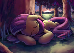Size: 4797x3426 | Tagged: safe, artist:inowiseei, character:fluttershy, absurd resolution, cute, eyes closed, female, forest, shyabetes, sleeping, solo, sunrise