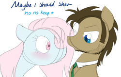 Size: 1280x814 | Tagged: safe, artist:estrill, character:doctor whooves, character:time turner, oc, oc:nooby, species:pony, beard, facial hair, male, stallion