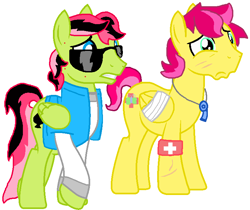 Size: 765x644 | Tagged: safe, artist:thefanficfanpony, oc, oc only, oc:ace, species:pegasus, species:pony, episode:flutter brutter, g4, my little pony: friendship is magic, bandaged wing, clothing, duo, fluttershy's brother (fanon), harsher in hindsight, jacket, male, simple background, stallion, sunglasses, white background