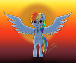 Size: 1360x1130 | Tagged: safe, artist:limedreaming, character:rainbow dash, female, solo, spread wings, sunset, wings