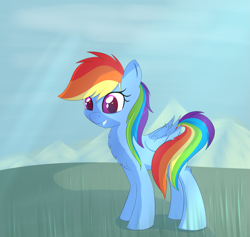 Size: 2985x2830 | Tagged: safe, artist:brok-enwings, character:rainbow dash, species:pegasus, species:pony, chest fluff, female, mare, smiling, solo, standing