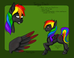Size: 1200x943 | Tagged: safe, artist:littlewolfstudios, oc, oc only, oc:tammy dash, oc:tammydash, species:pegasus, species:pony, black, blind, female, mare, rainbow, reference, reference sheet, wings