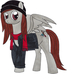 Size: 1089x1200 | Tagged: safe, artist:killerteddybear94, editor:binkyt11, oc, oc only, oc:galestorm, species:pegasus, species:pony, 2018 community collab, derpibooru community collaboration, beanie, clothing, hat, jacket, looking at you, male, scarf, simple background, spread wings, stallion, traditional art, transparent background, wings