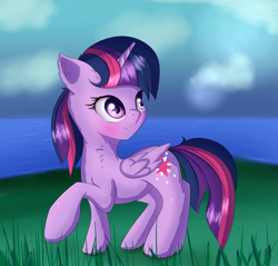 Size: 1722x1647 | Tagged: safe, artist:brok-enwings, character:twilight sparkle, character:twilight sparkle (alicorn), species:alicorn, species:pony, blushing, female, grass, grass field, mare, raised hoof, solo, water
