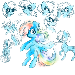 Size: 5000x5000 | Tagged: safe, artist:pinkablue, character:rainbow dash, species:pegasus, species:pony, absurd resolution, blushing, bust, expressions, feather, female, flying, mare, mouth hold, simple background, white background