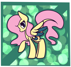 Size: 1870x1766 | Tagged: safe, artist:hedgehog-plant, character:fluttershy, colored wings, female, leonine tail, multicolored wings, solo