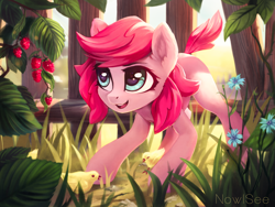 Size: 3306x2480 | Tagged: safe, artist:inowiseei, oc, oc only, oc:holivi, species:bird, species:chicken, species:earth pony, species:pony, chick, crouching, female, flower, food, mare, not pinkie pie, raspberry (food), solo