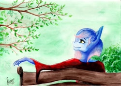 Size: 2560x1813 | Tagged: safe, artist:stirren, oc, oc only, species:anthro, bench, solo, traditional art, tree