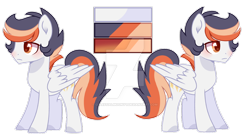 Size: 1024x557 | Tagged: safe, artist:moon-rose-rosie, oc, oc only, oc:shining ray, parent:soarin', parent:spitfire, parents:soarinfire, species:pegasus, species:pony, deviantart watermark, obtrusive watermark, offspring, reference sheet, solo, watermark