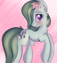 Size: 1060x1178 | Tagged: safe, artist:brok-enwings, character:marble pie, species:earth pony, species:pony, blushing, cute, ear fluff, female, flower, flower in hair, looking at you, marblebetes, mare, smiling, solo