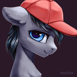 Size: 3000x3000 | Tagged: safe, artist:inowiseei, oc, oc only, oc:sharpie, species:pony, bust, cap, clothing, commission, hat, looking at you, male, portrait, profile, solo, stallion
