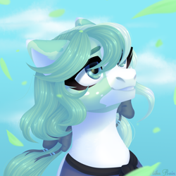 Size: 2500x2500 | Tagged: safe, artist:nika-rain, oc, oc only, species:earth pony, species:pony, bust, clothing, cloud, commission, cute, female, portrait, sky, smiling, solo