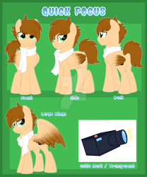 Size: 1024x1229 | Tagged: safe, artist:crystal-tranquility, oc, oc:quick focus, species:pegasus, species:pony, clothing, colored wings, colored wingtips, deviantart watermark, male, obtrusive watermark, reference sheet, scarf, solo, stallion, watermark