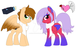 Size: 1600x1012 | Tagged: safe, artist:crystal-tranquility, oc, oc only, oc:nimbus heart, oc:quick focus, species:pegasus, species:pony, clothing, deviantart watermark, female, male, mare, obtrusive watermark, scarf, simple background, stallion, transparent background, watermark