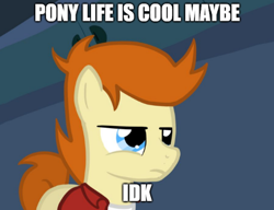 Size: 488x375 | Tagged: safe, artist:otterlore, edit, species:earth pony, species:pony, my little pony:pony life, caption, clothing, exploitable meme, futurama, image macro, lesser of two evils, male, meme, not sure if, philip j. fry, ponified, ponified meme, shirt, solo, text