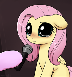 Size: 2655x2838 | Tagged: safe, artist:moozua, edit, character:fluttershy, species:pegasus, species:pony, big eyes, blushing, crying, crying cat, cute, dilated pupils, doe eyes, female, floppy ears, hoof hold, hooves, looking at you, mare, meme, microphone, missing cutie mark, offscreen character, ponified animal photo, ponified meme, sad, sadorable, shyabetes, solo focus, teary eyes, textless