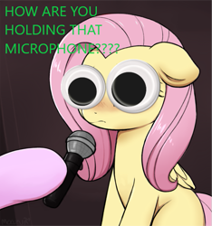 Size: 561x600 | Tagged: safe, artist:captain metric, artist:moozua, edit, character:fluttershy, species:pegasus, species:pony, big eyes, blushing, caption, crying cat, dilated pupils, female, floppy ears, googly eyes, hoof hold, hooves, lampshade hanging, looking at you, mare, meme, microphone, offscreen character, ponified animal photo, ponified meme, solo focus, subverted meme, text, textless