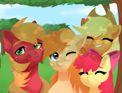 Size: 2500x1908 | Tagged: safe, artist:nika-rain, character:apple bloom, character:applejack, character:big mcintosh, oc, species:earth pony, species:pony, apple farm, apple siblings, commission, cute, eyes closed, family, one eye closed, smiling, wink
