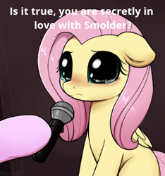 Size: 391x417 | Tagged: safe, artist:moozua, edit, character:fluttershy, character:starlight glimmer, species:pegasus, species:pony, big eyes, blushing, crying, crying cat, cute, dilated pupils, female, floppy ears, hoof hold, implied lesbian, implied shipping, implied smolder, implied smoldershy, looking at you, mare, meme, microphone, missing cutie mark, offscreen character, ponified animal photo, ponified meme, sad, sadorable, sitting, solo focus, teary eyes